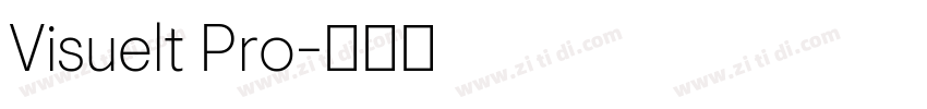 Visuelt Pro字体转换 Visuelt Pro字体转换